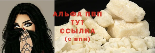 стаф Осташков
