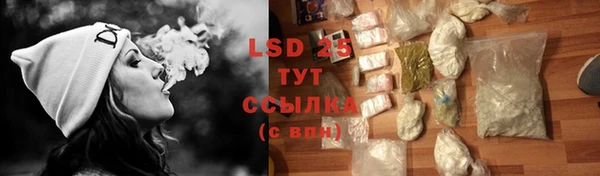 стаф Осташков
