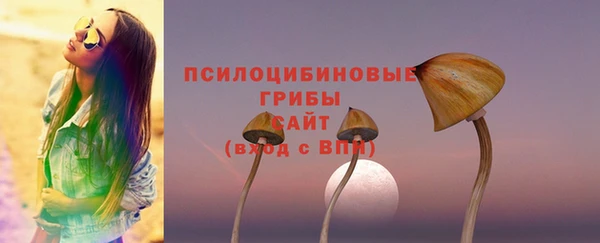 стаф Осташков