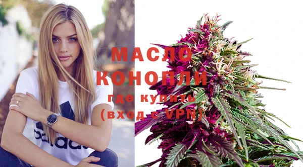 стаф Осташков