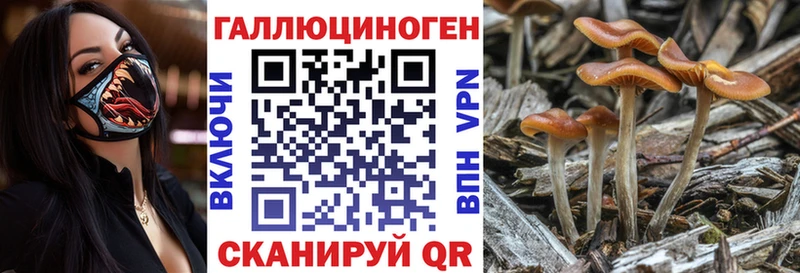Псилоцибиновые грибы MAGIC MUSHROOMS  Купить закладки  Сатка 
